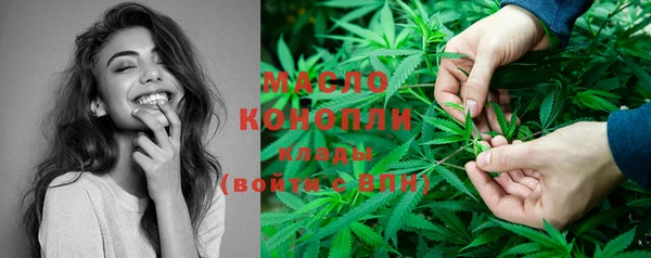 мет Пересвет