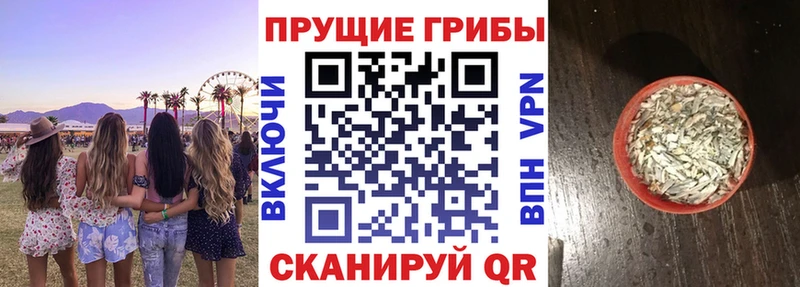 Псилоцибиновые грибы Cubensis  kraken маркетплейс  Белоозёрский 